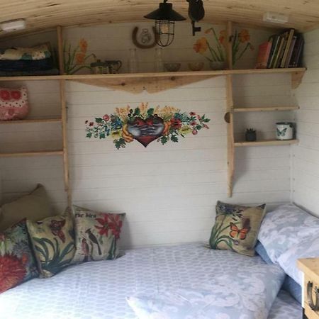 Clydesdale Shepherds Hut Hotel Belfast Exterior foto
